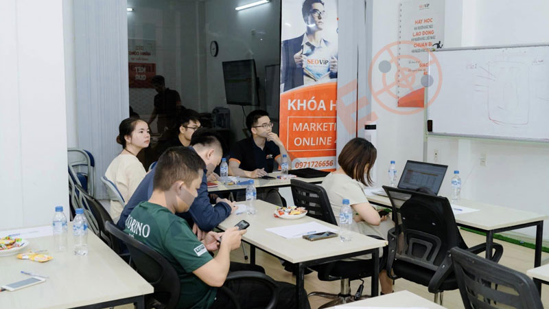 seovip-academy-trung-tam-dao-tao-seo-tai-hcm-danaseo